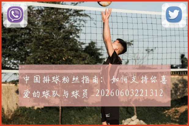 中国排球粉丝指南：如何支持你喜爱的球队与球员_20260603221312