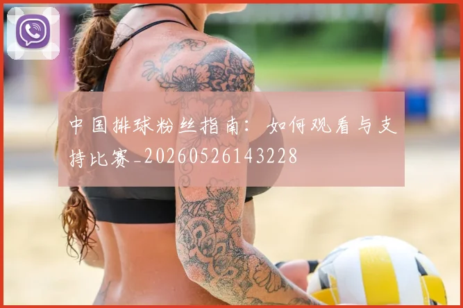 中国排球粉丝指南:如何观看与支持比赛_20260526143228