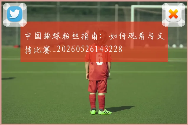 中国排球粉丝指南：如何观看与支持比赛_20260526143228